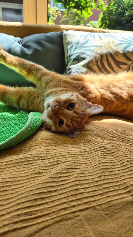Max