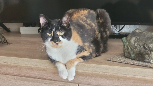 Mexie