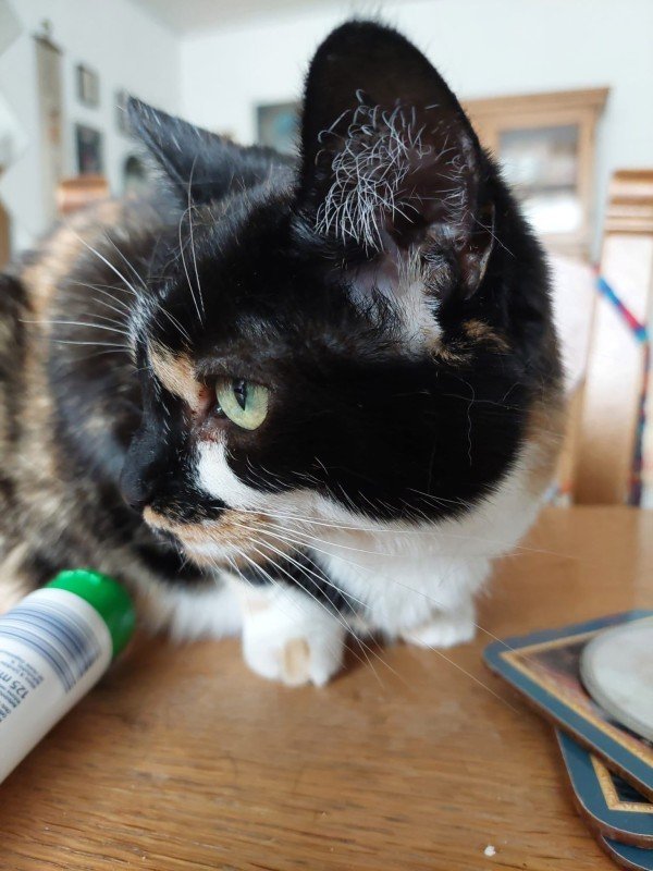 *SPOED* Mexie