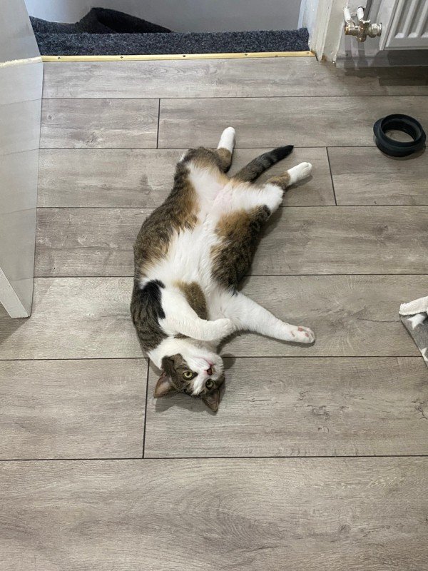 Luna