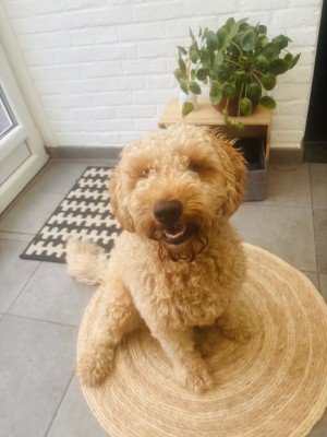 Billy
