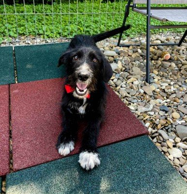 Digby