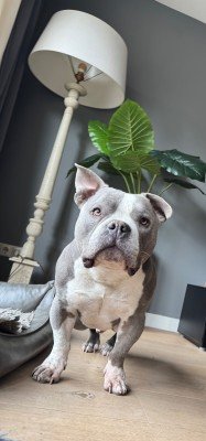 Sam