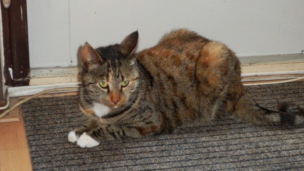 Liese