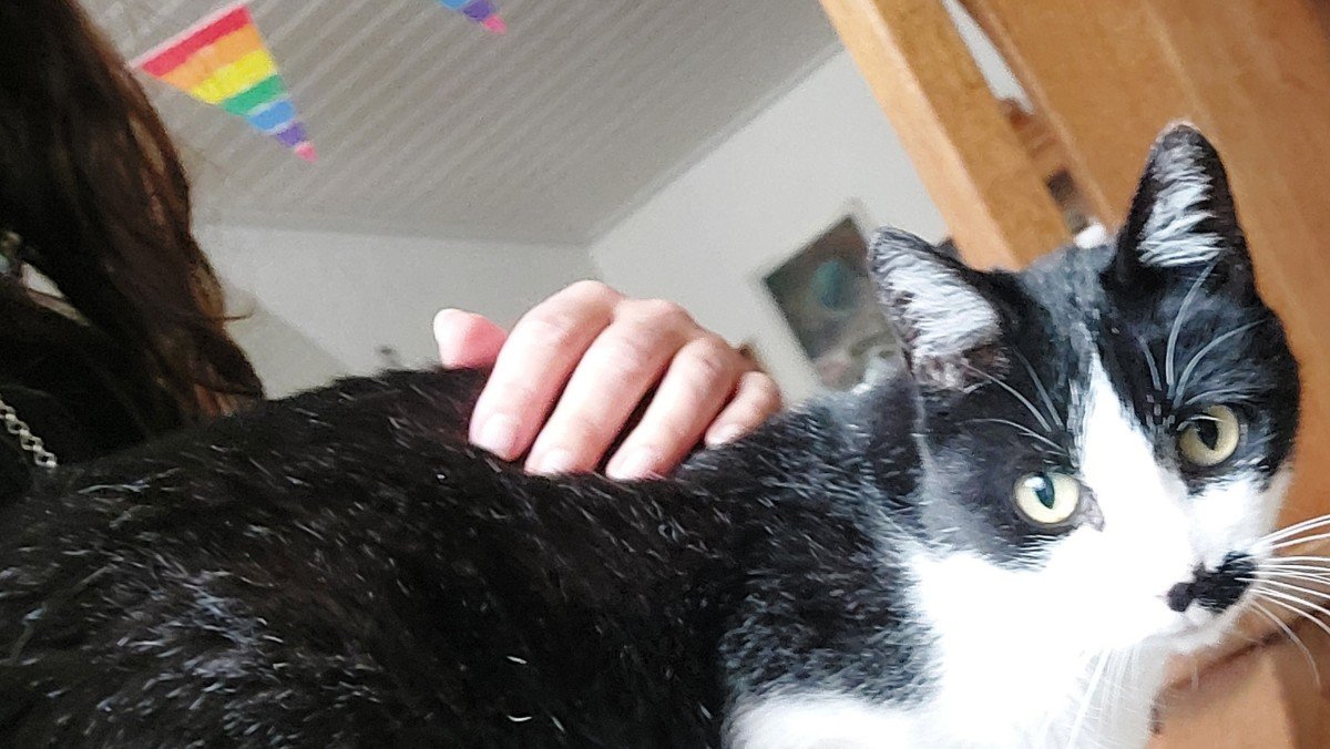 *SPOED* Dropje