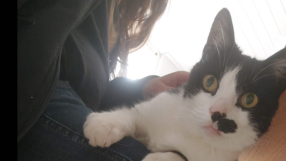 *SPOED* Dropje