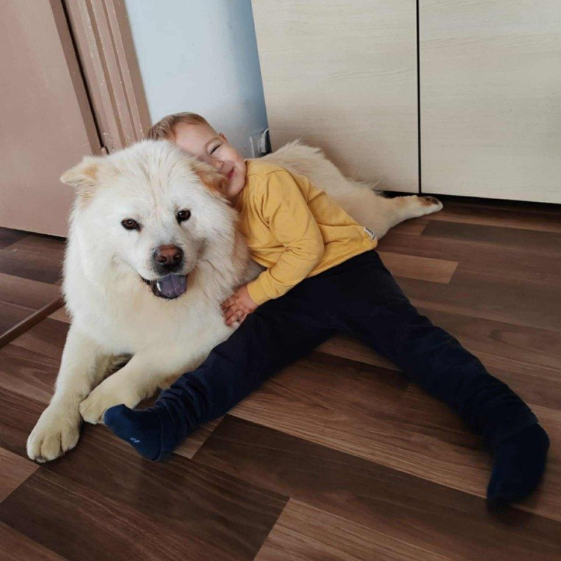 Bao