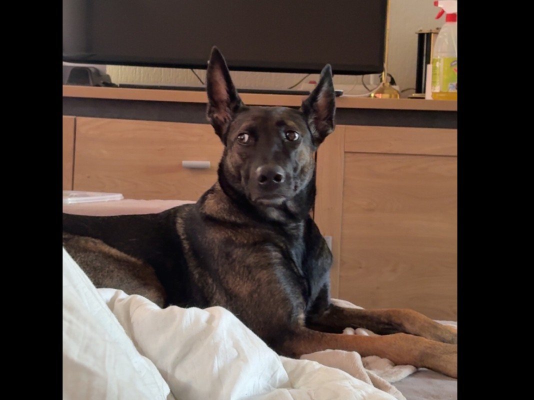 Chloè
