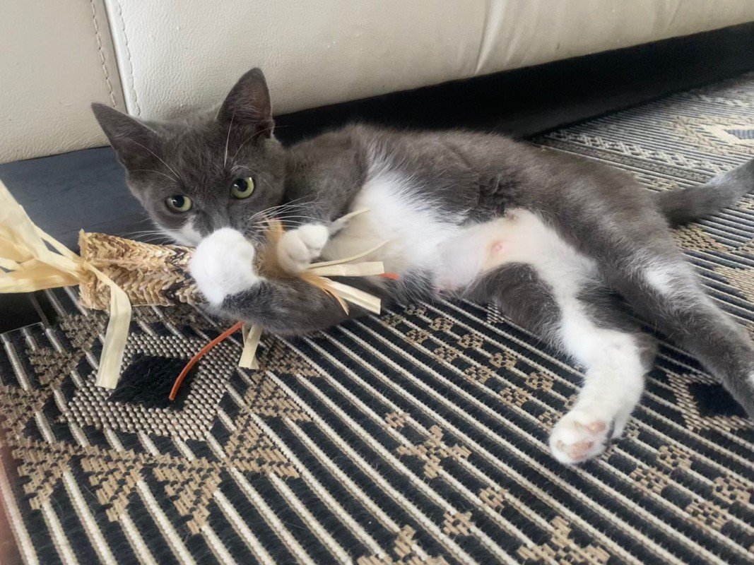 Kiki