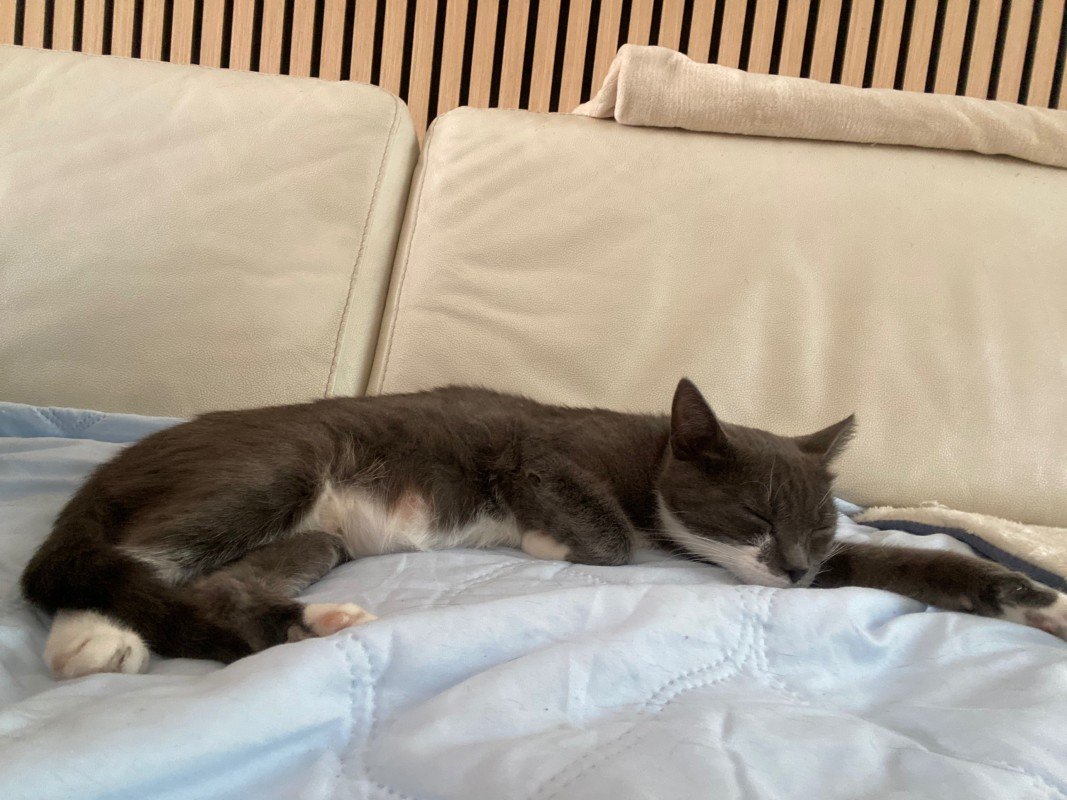 Kiki