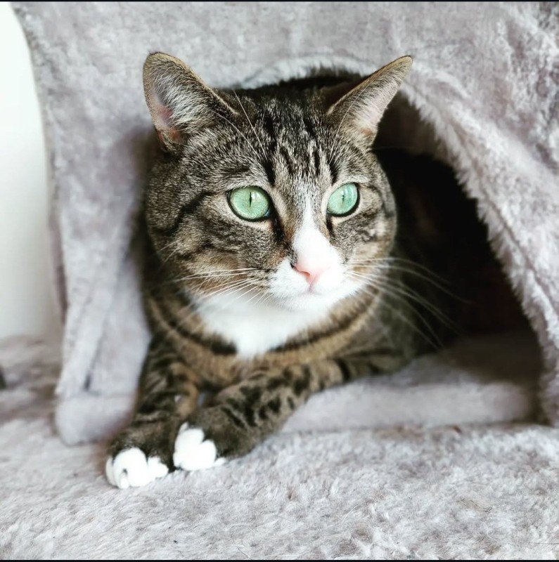 Roxy