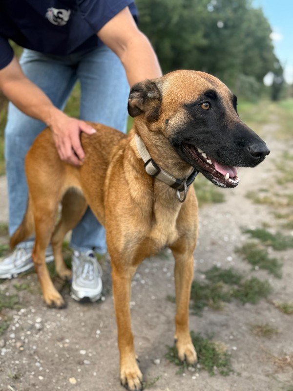 Sara