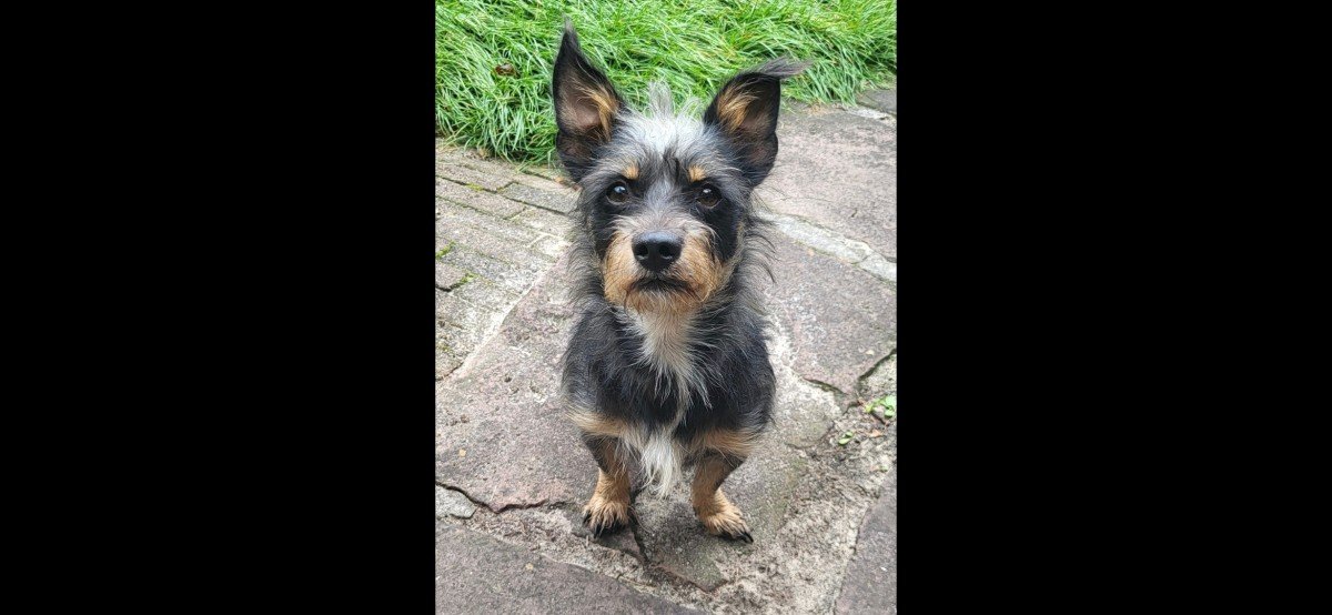 Rocky