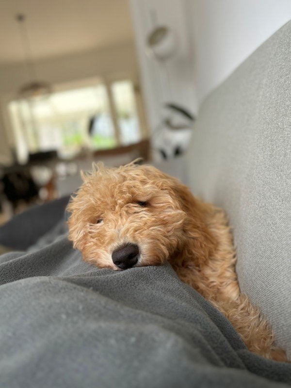 Billy