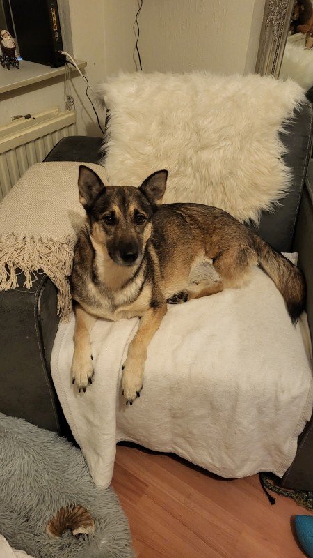 Zita