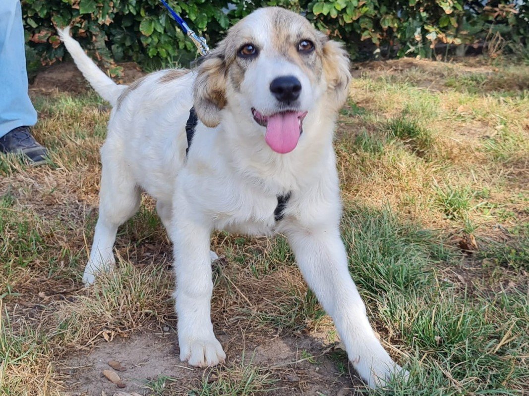 Zita