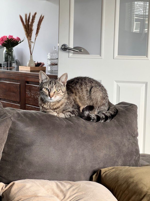 Bella