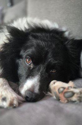 Max
