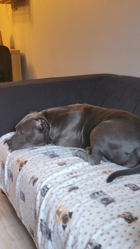 Kenzi