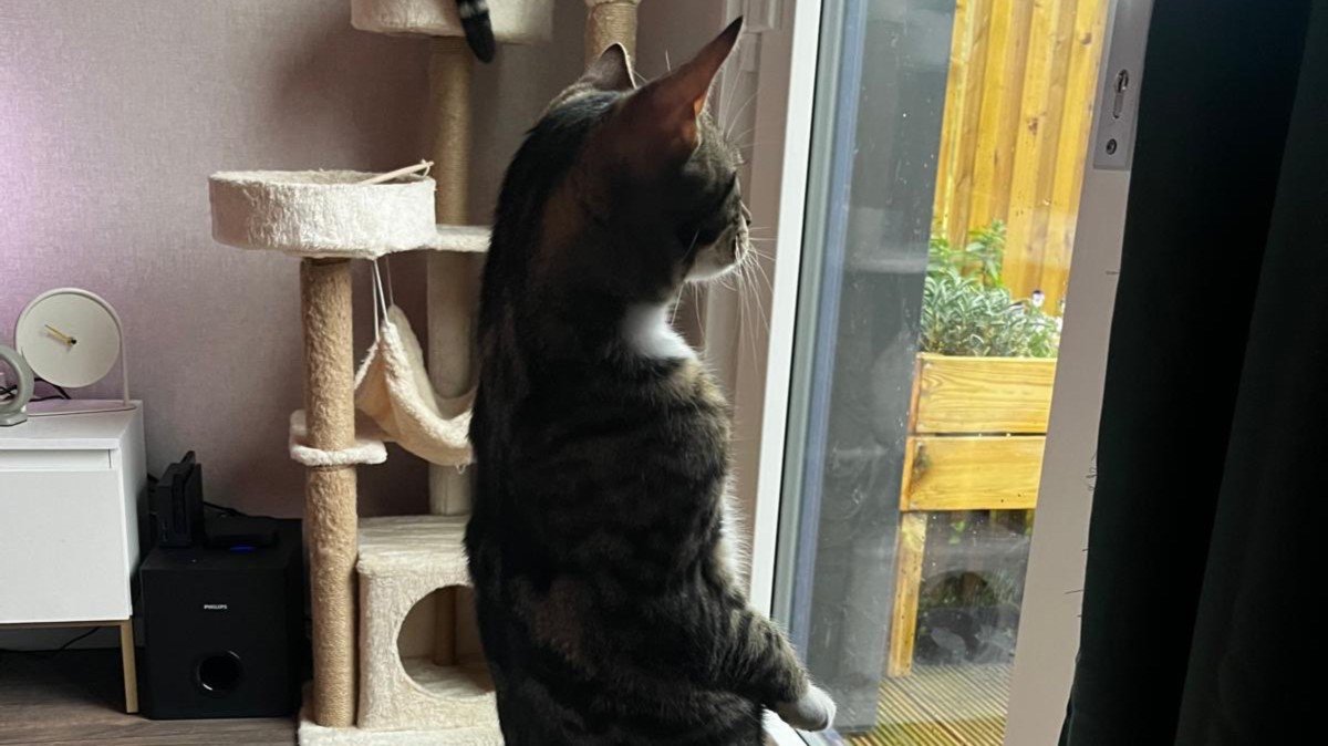 Mila