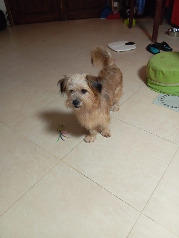 Jack