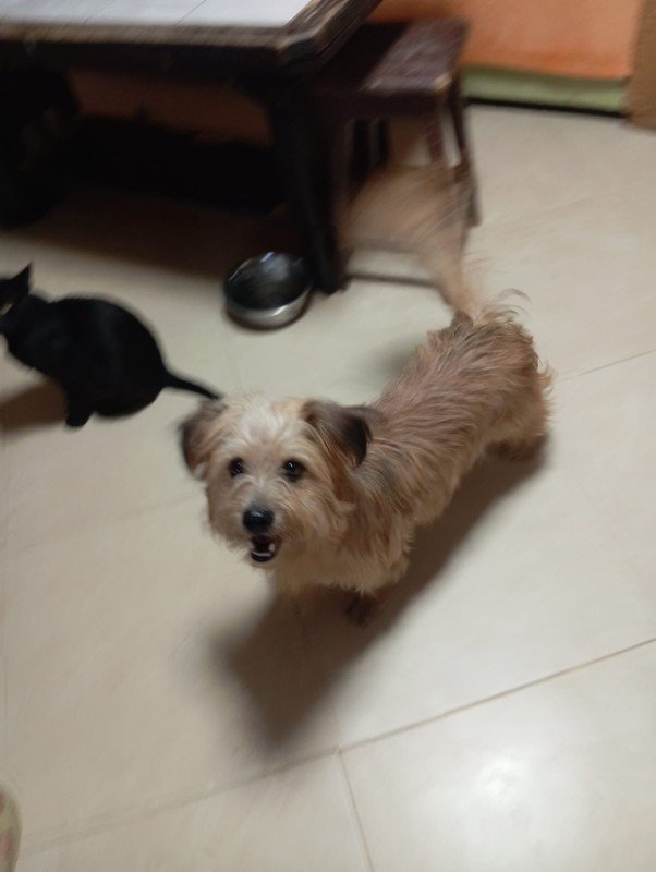 Jack