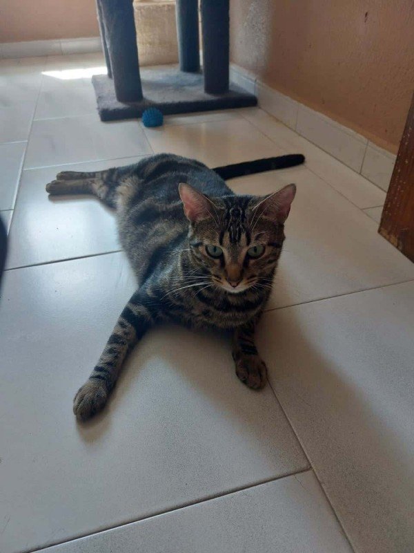 Sultan