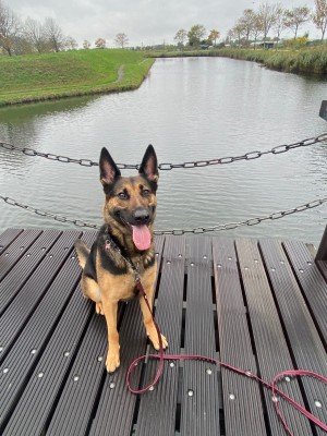 Lilly