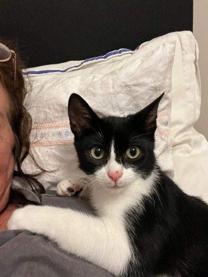 Felix