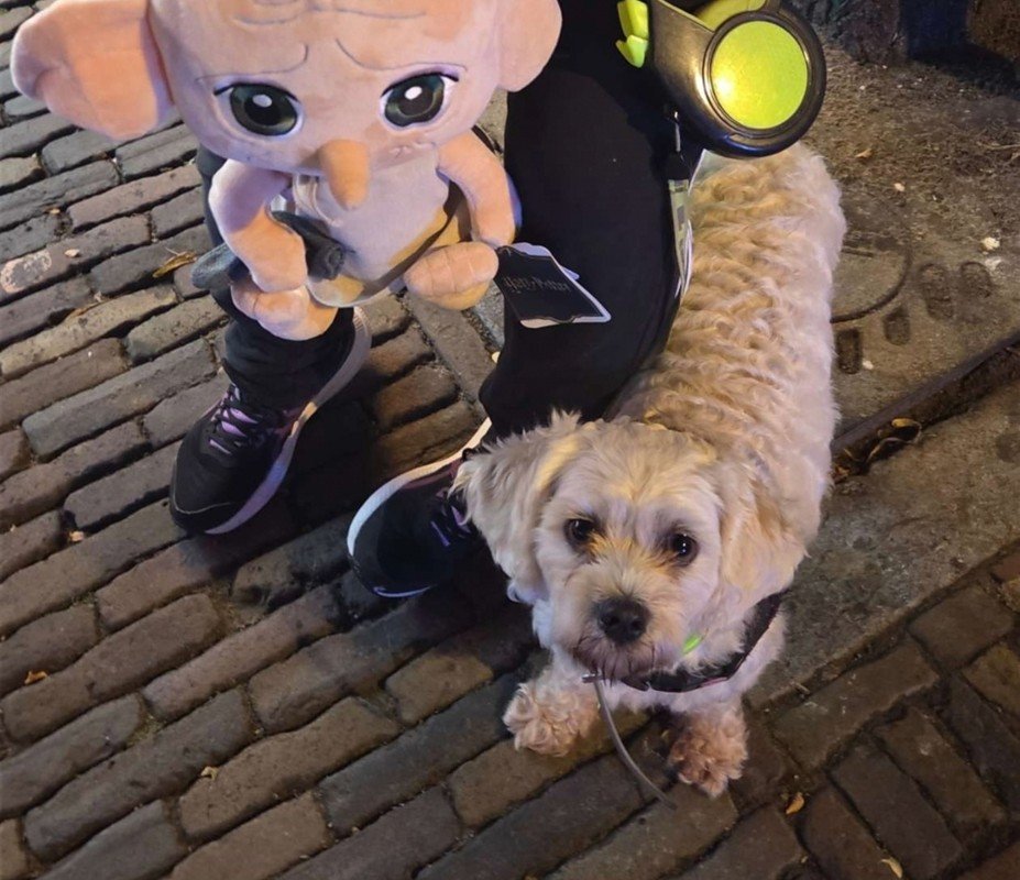 Coco