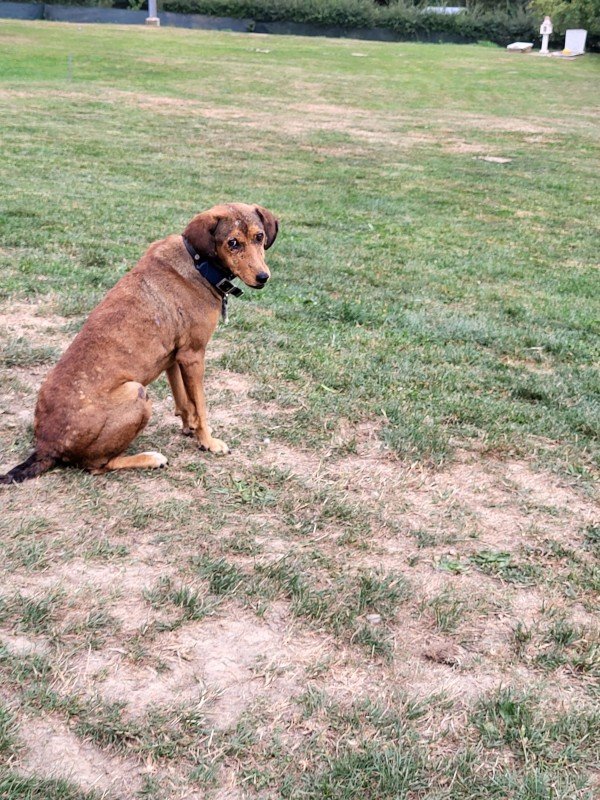Suzi