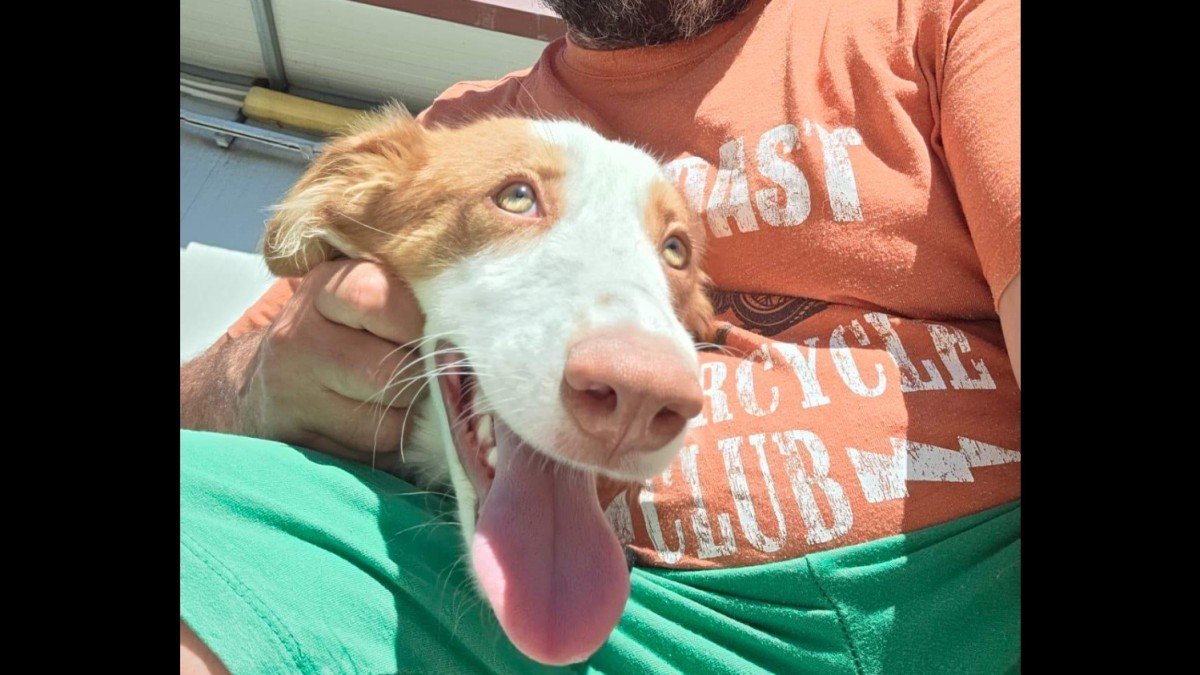 Perla