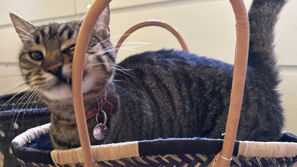 Luna