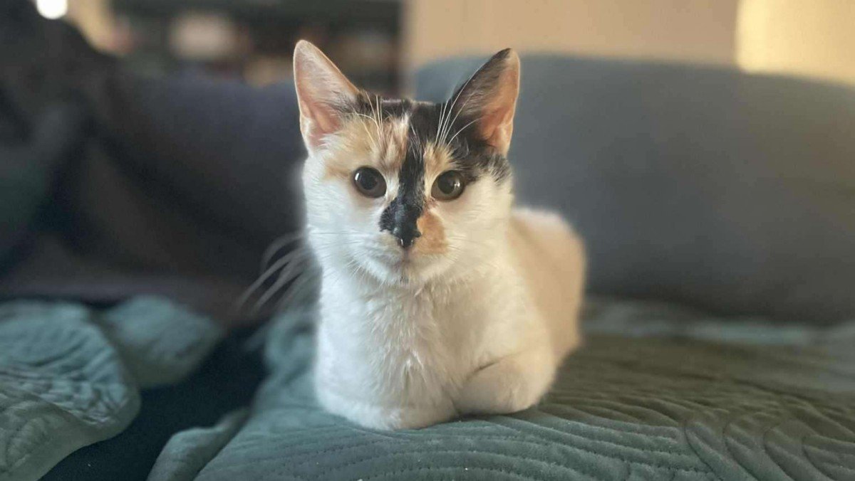 Nona