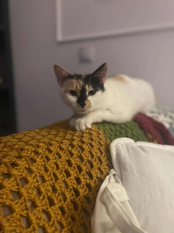 Nona