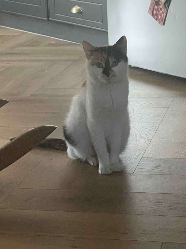 Nona