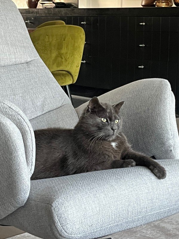 Olli