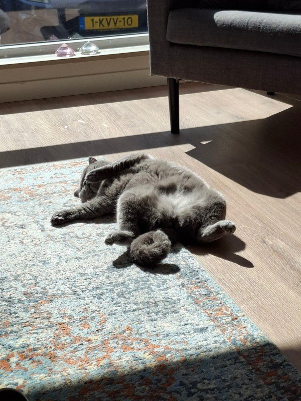 Mia