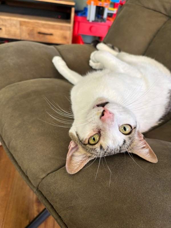 Casper