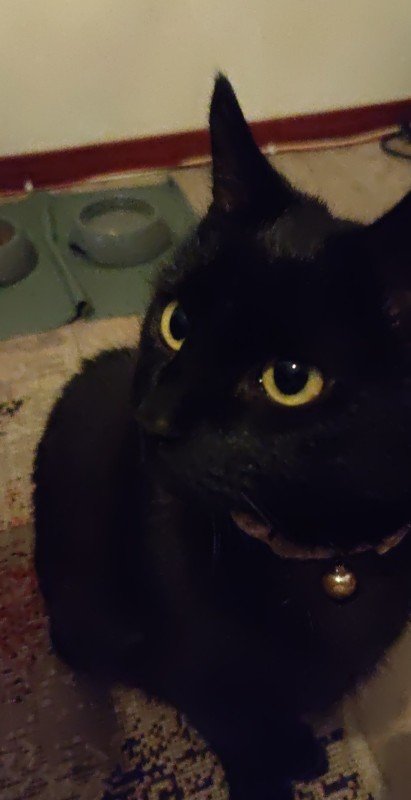 Dexter