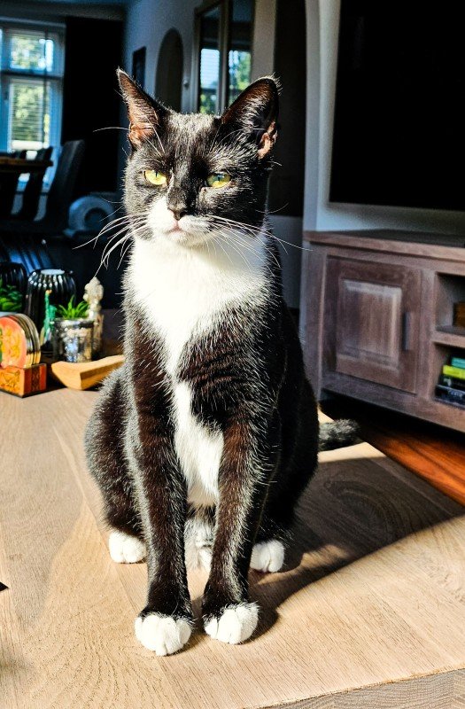 Pip