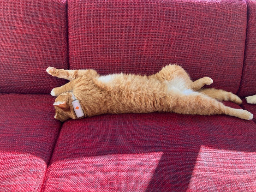 Wiski