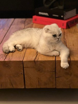 Casper