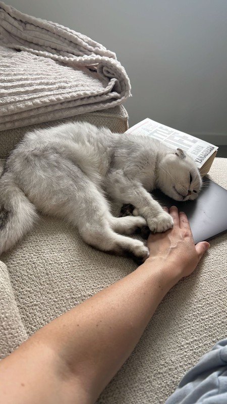 Casper