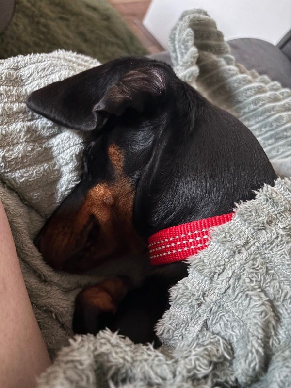 Sam