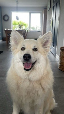 Coco