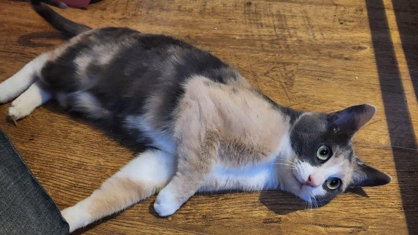 Zoë