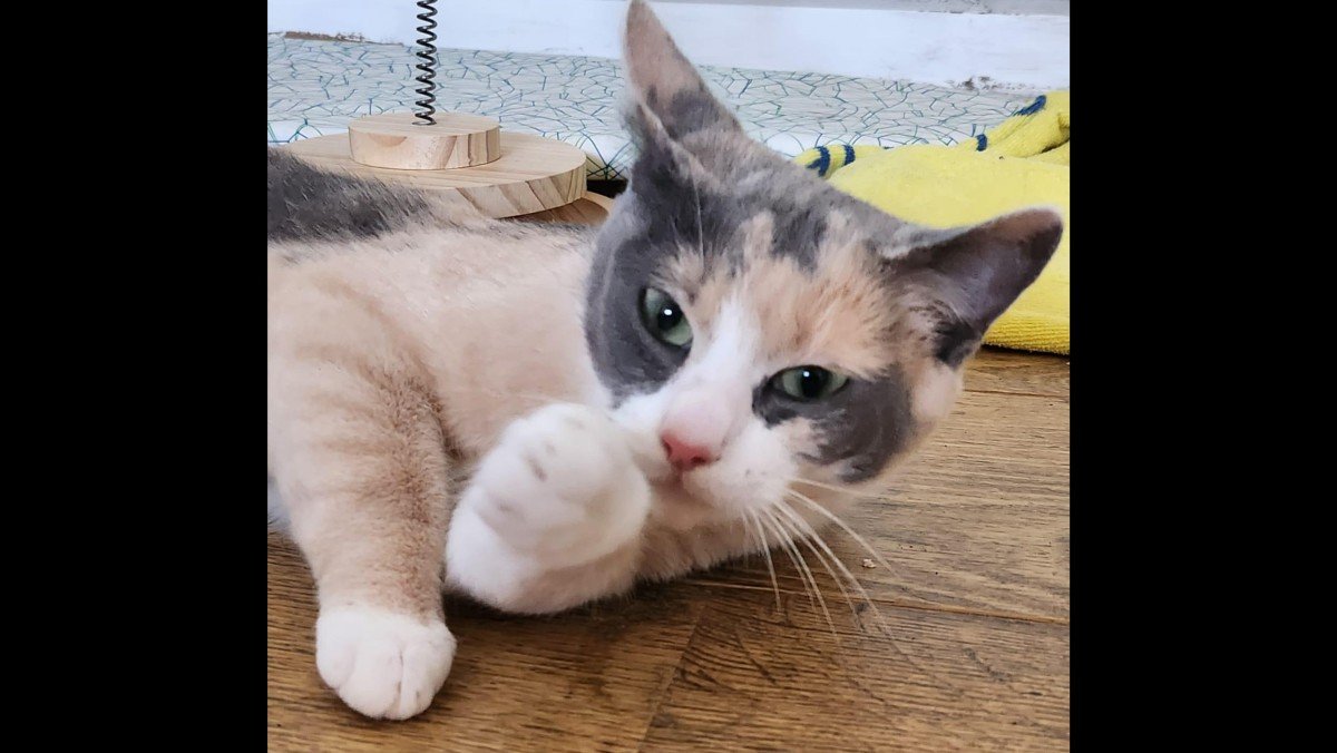 Zoë