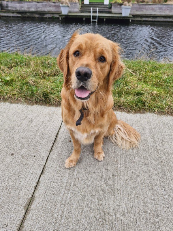 Vito