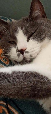 Tom